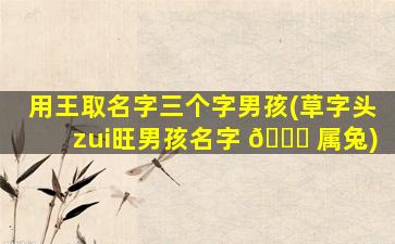 用王取名字三个字男孩(草字头zui
旺男孩名字 🐋 属兔)